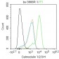 Calmodulin 1/2/3 Rabbit pAb